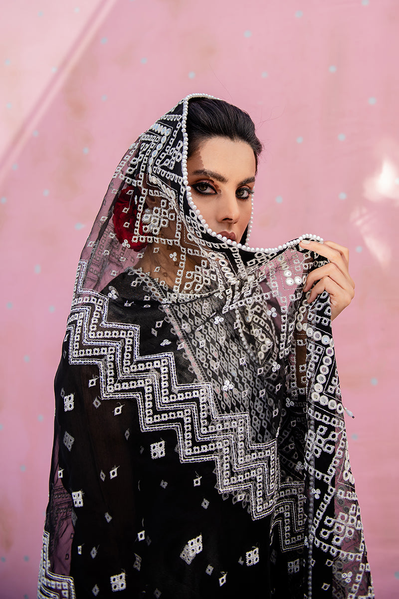 New Traditional Embroidered Black Pakistani Salwar Kameez Dupatta Salwar Suit