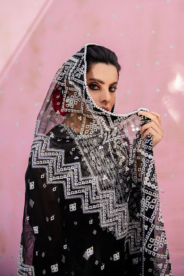New Traditional Embroidered Black Pakistani Salwar Kameez Dupatta Salwar Suit