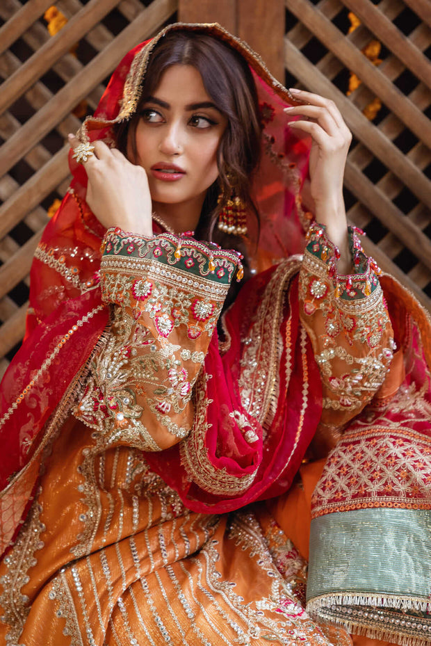 Orange Heavily Embellished Pakistani Dress Kameez Trousers