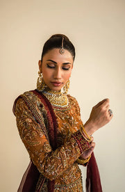 Organza Embellished Lehenga and Choli Pakistani Bridal Dress