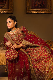 Pakistani Bridal Dresses