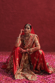 Pakistani Bridal Dresses