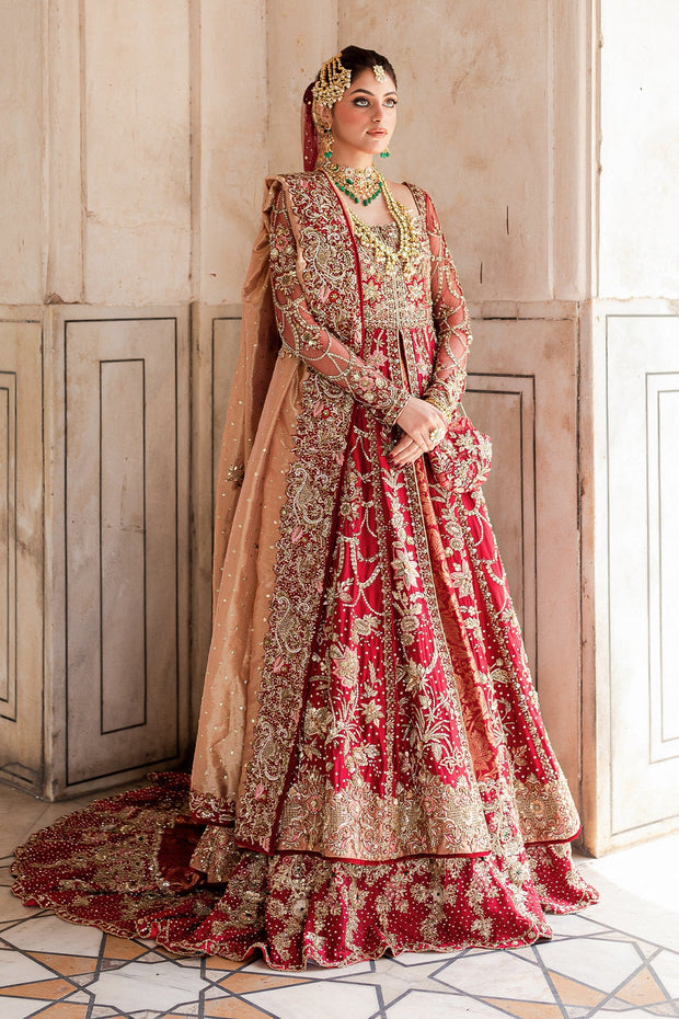 Pakistani Bridal Dress in Gown Long Tail Lehenga Style