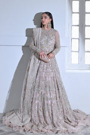 Pakistani Bridal Dress in Premium Embellished Gown Style