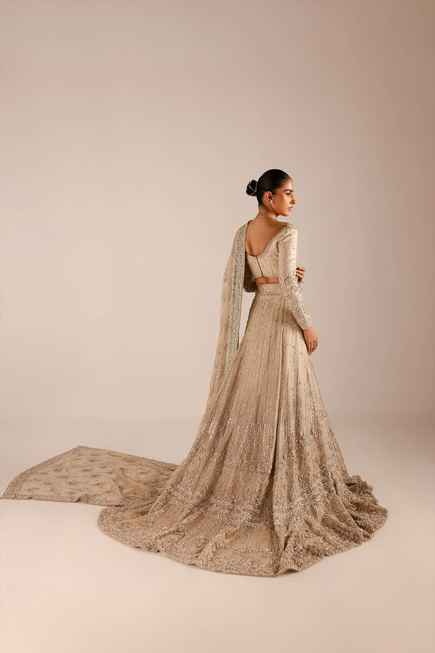 Pakistani Bridal Dress in Lehenga Style in Mississauga, Ontario Online