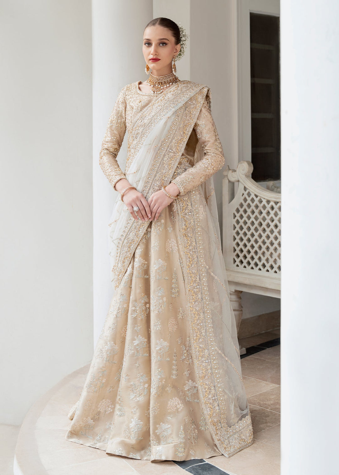 Pakistani Choli and Bridal Lehenga with Intricate Work