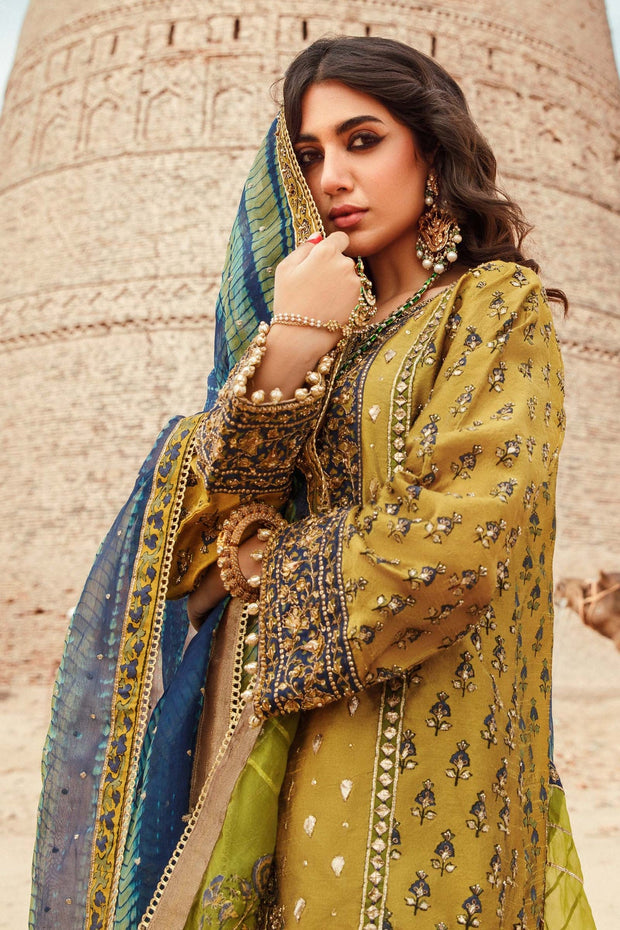 Pakistani Party Dresses