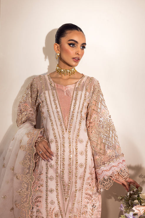 Pakistani Party Dress in Organza Kameez Style