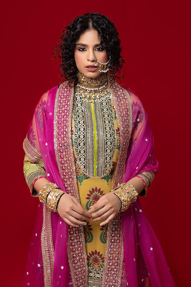 Pakistani Wedding Dresses