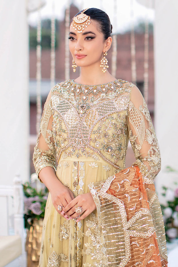 Pakistani Wedding Dress in Royal Gown and Trouser Style