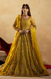 Pakistani Wedding Dress in Green Pishwas Frock Style