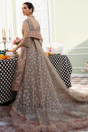 Pakistani Wedding Dress in Long Tail Pishwas Style Online