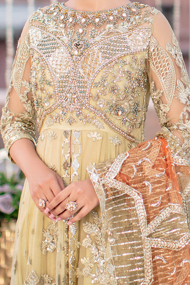 Pakistani Wedding Dress in Royal Gown Style