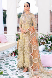 Pakistani Wedding Dress in Royal Gown and Trouser Style