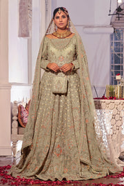 Pakistani Bridal Dress Beige Net Lehenga Choli for Bridal Wear