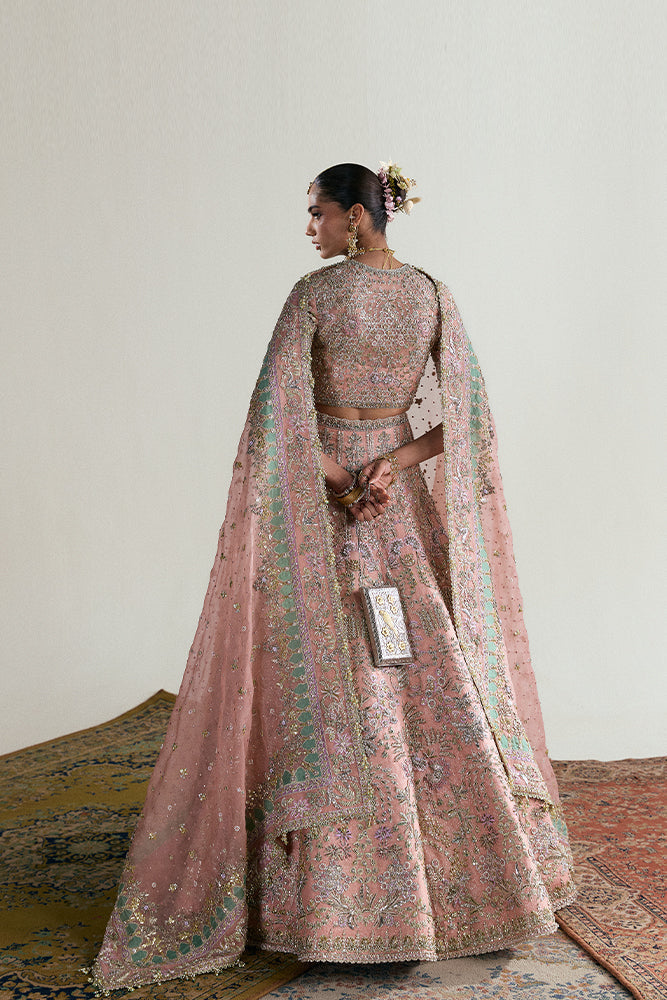 Elegant Pakistani Bridal Dresses - Choli & Pink Lehenga