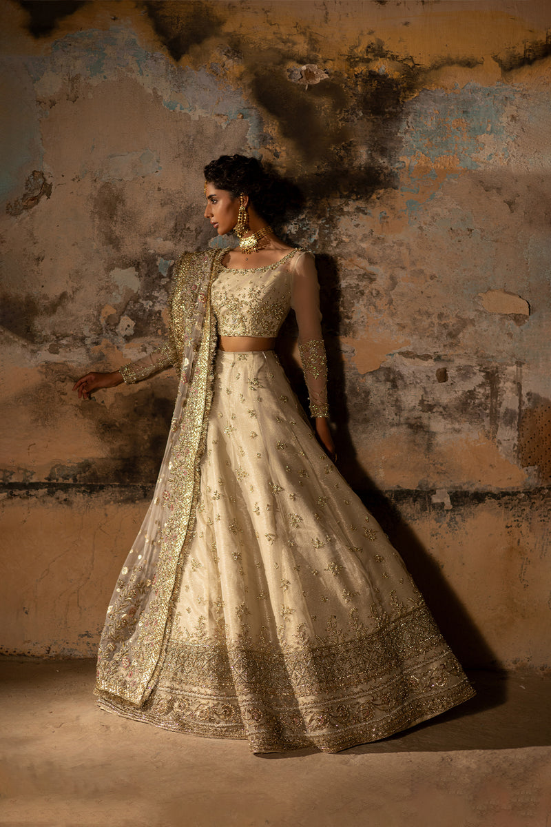 Pakistani Bridal Outfit in Organza Choli Lehenga Style
