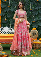 Pakistani Bridal Two-Tones Lehenga Choli Dupatta Dresses