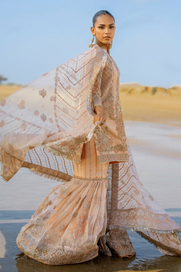 Pakistani Dress Beige Peach Embellished Kameez Sharara