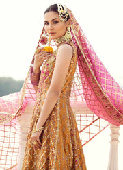 Pakistani Party Dress Heavily Embellished Gotta