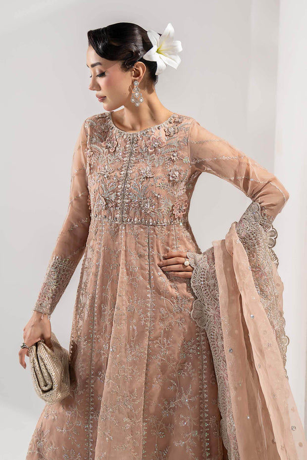 Pakistani Party Wear in Embroidered Organza Suit