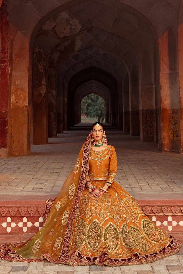 Pakistani Wedding Dress Choli With Lehenga For Wear