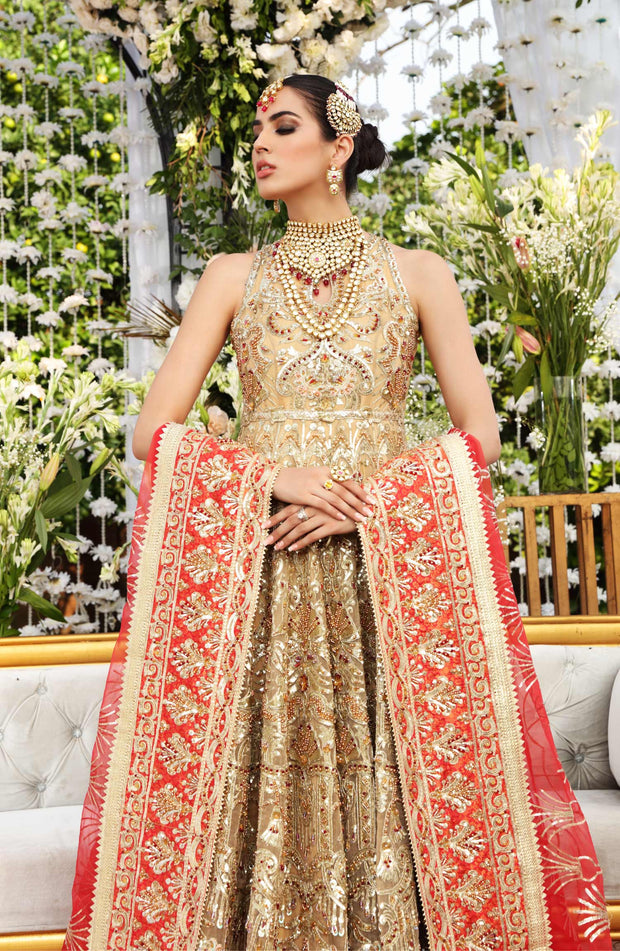Enchanting Net Pakistani Bridal Dress