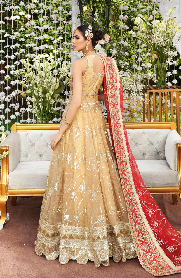 Enchanting Net Pakistani Bridal Dress
