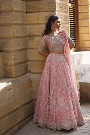 Pink Bridal Choli Lehenga for Pakistani Wedding Dresses