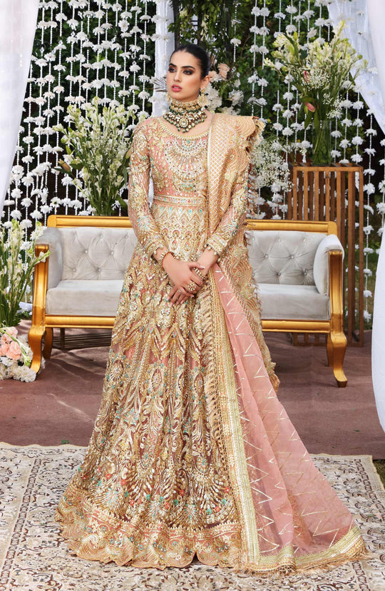 Pink Pakistani Multi Colored Heavily Embellished Pishwas Wedding Dress