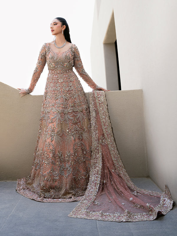 Elegant Blush Pink Pakistani Bridal Dress & Lehenga