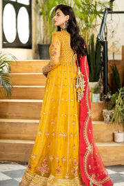 Premium Embroidered Pakistani Wedding Dress in Net Frock Style