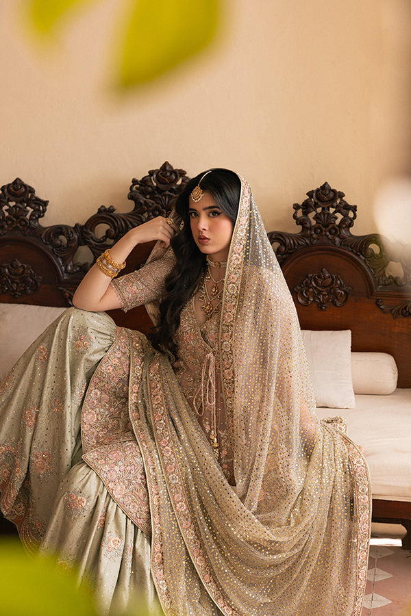 Premium Pakistani Bridal Dress in Kameez Gharara Dupatta Style
