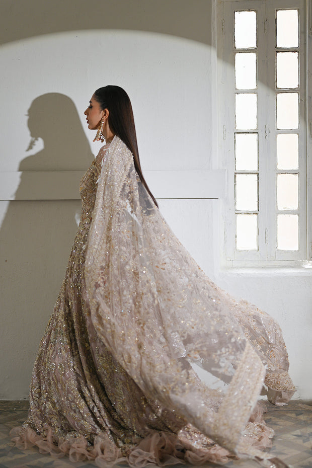 Premium Pakistani Bridal Dress in Premium Embellished Gown Style
