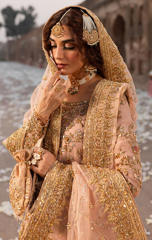 Premium Pakistani Bridal Dress in Tea Pink Gharara Shirt Style