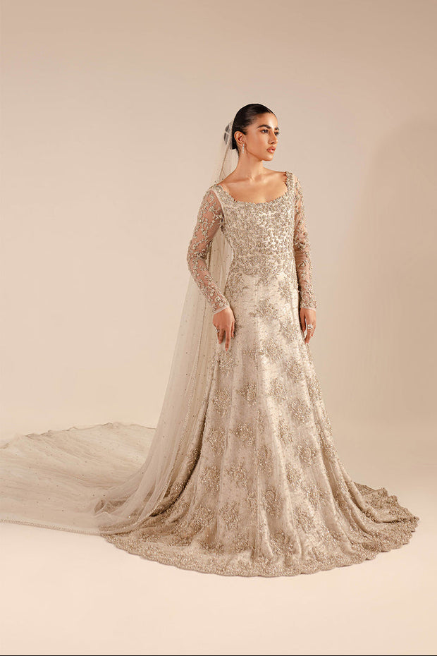 Premium Pakistani Wedding Dress in Bridal Gown and Veil Style
