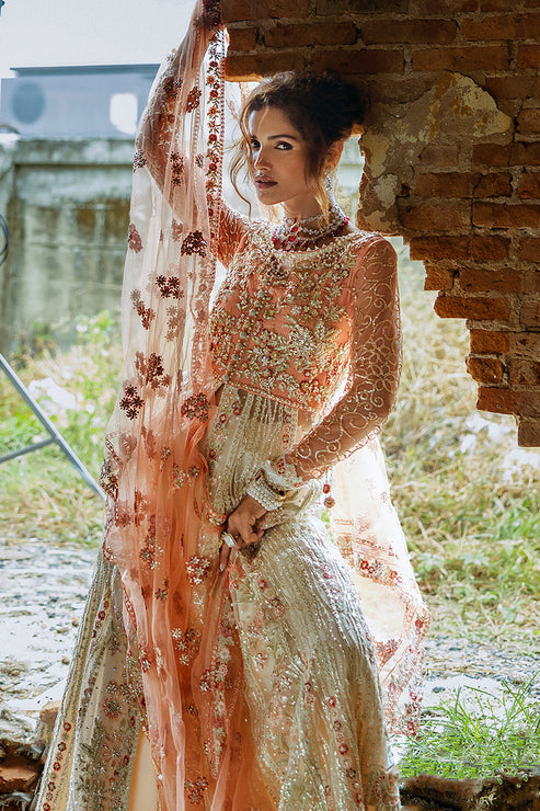 Premium Pakistani Wedding Dress in Net Pishwas Lehenga Style