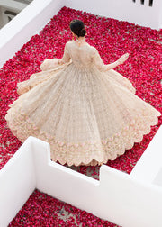 Premium Traditional Pishwas and Affordable Bridal Lehenga Online