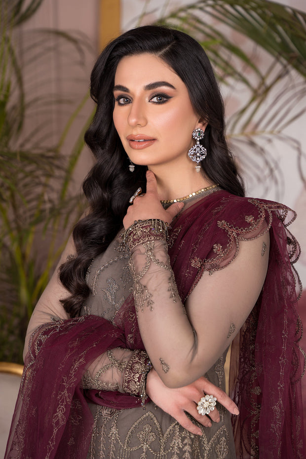 Elegant Light Brown Embroidered Net Ensemble with Maroon Dupatta