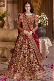Red Bridal Lehenga and Choli Pakistani Wedding Dress