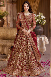 Red Bridal Lehenga and Choli Pakistani Wedding Dress