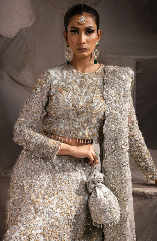 Royal Embellished Bridal Lehenga and Choli Pakistani Dress