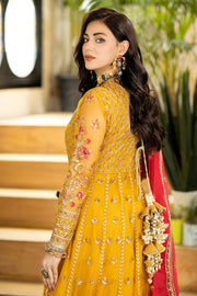 Royal Embroidered Pakistani Wedding Dress in Net Frock Style