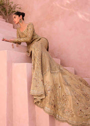 Royal Farah Talib Aziz Luxurious Sharara Kameez Dupatta Dress