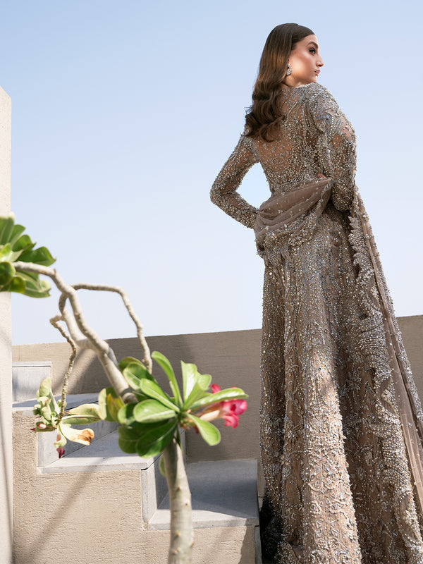 Elegant Royal Pakistani Bridal Dress for Weddings