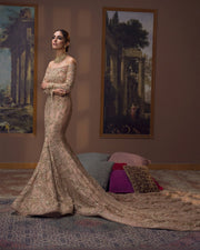 Royal Hand Embellished Beige Pakistani Bridal Dress in Tale Gown Style