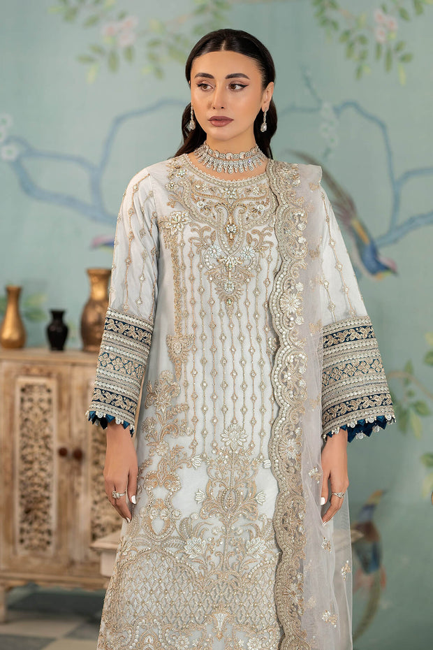 Royal Net Kameez and Raw Silk Trouser Pakistani Party Dress