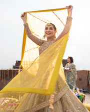 Royal Pakistani Bridal Dress Lehenga Choli Style Dress For Women