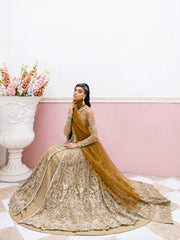 Royal Open Pakistani Bridal Gown and Lehenga Dupatta Dress