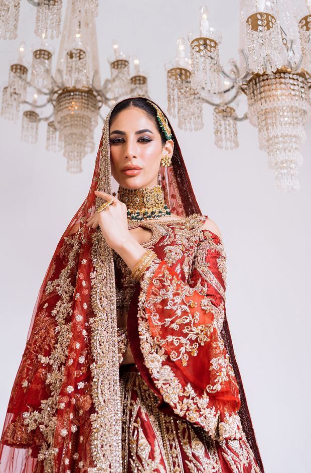 Royal Pakistani Bridal Lehenga Choli Dress for Wedding